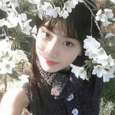 情枭的黎明